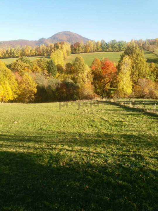 Teren intravilan de vânzare – Bran, Sohodol