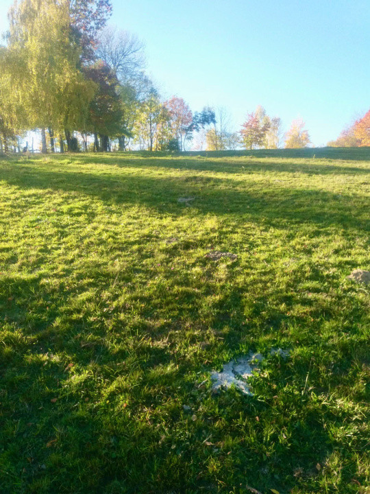 Teren intravilan de vânzare – Bran, Sohodol