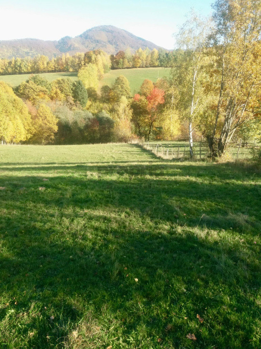 Teren intravilan de vânzare – Bran, Sohodol