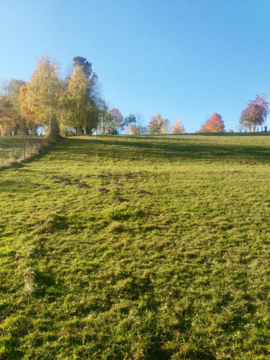 Teren intravilan de vânzare – Bran, Sohodol