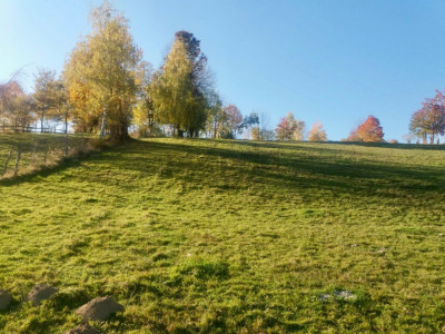 Teren intravilan de vânzare – Bran, Sohodol