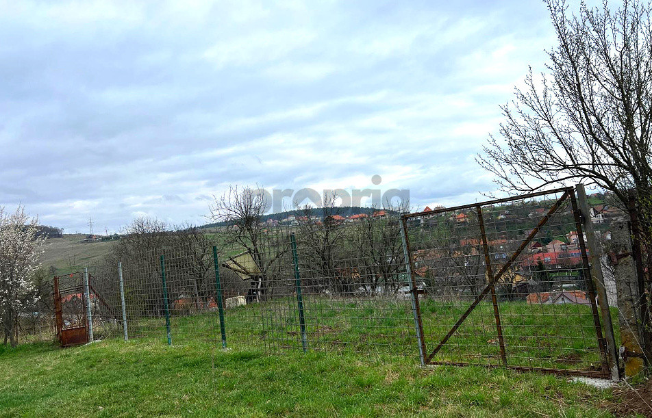 🏠Casa 5 camere | Garaj, anexe | 1300 mp teren | Simeria Veche