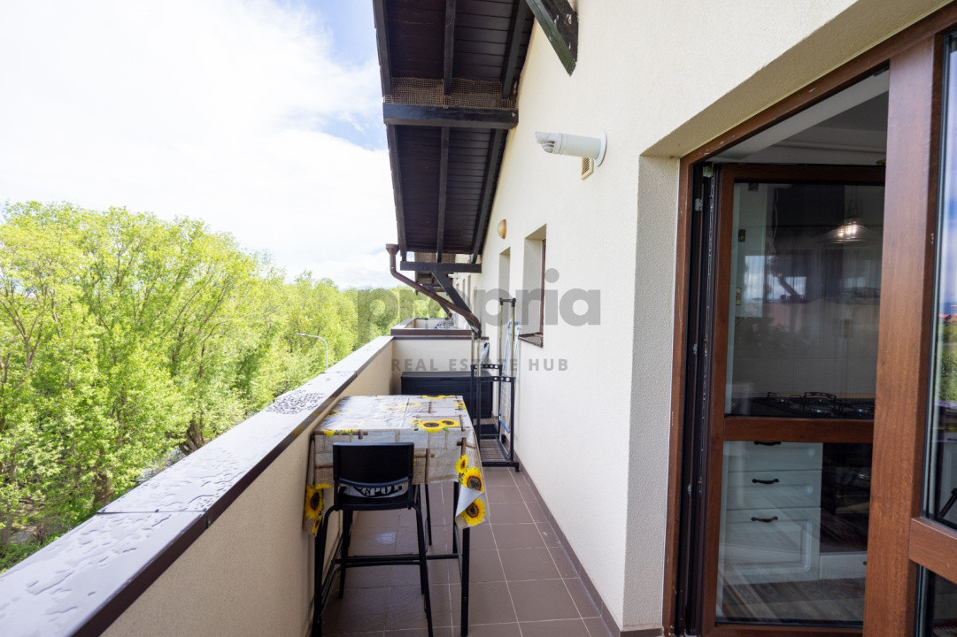 STUDIO SANPETRU RESIDENCE - VIEW SUPERB CATRE DEALUL LEMPES + LIVADA