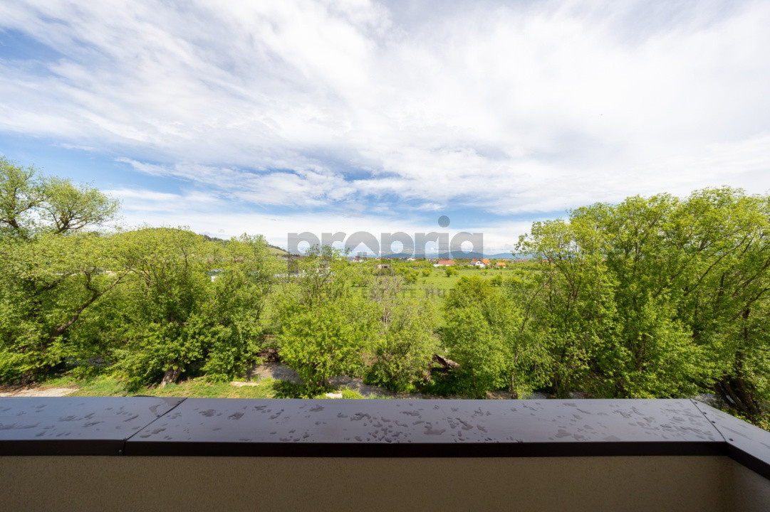 STUDIO SANPETRU RESIDENCE - VIEW SUPERB CATRE DEALUL LEMPES + LIVADA