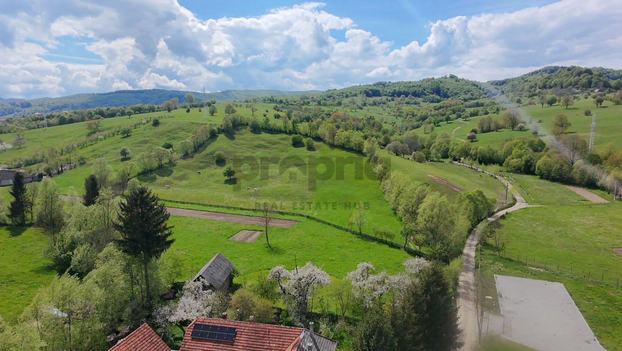 CASĂ PITOREASCĂ ÎN ACRIȘ - VAMA BUZĂULUI