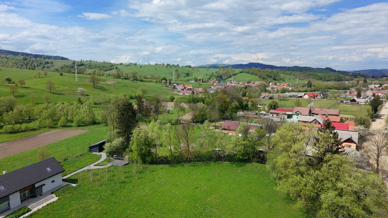 CASĂ PITOREASCĂ ÎN ACRIȘ - VAMA BUZĂULUI
