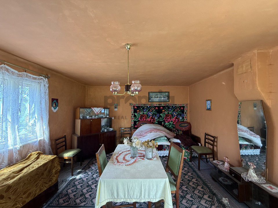 CASĂ PITOREASCĂ ÎN ACRIȘ - VAMA BUZĂULUI