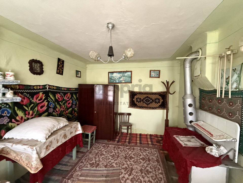 CASĂ PITOREASCĂ ÎN ACRIȘ - VAMA BUZĂULUI