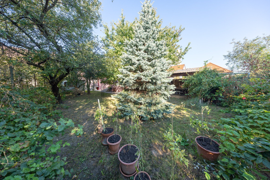 Casă de închiriat | Str. Tudor Vladimirescu | Zonă cu acces facil
