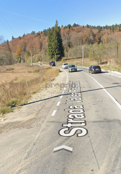 Teren intravilan 2.500 mp – Predeal, Valea Râșnoavei  