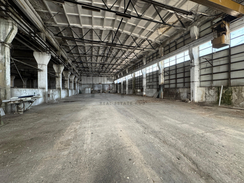 DE ÎNCHIRIAT – Hale Industriale în Codlea, lângă Centura