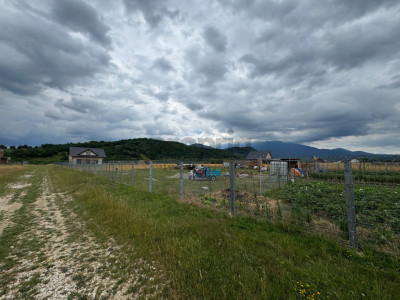 Terenuri de vânzare în Râșnov – Glăjerie, 2 parcele de 1.000 mp fiecare