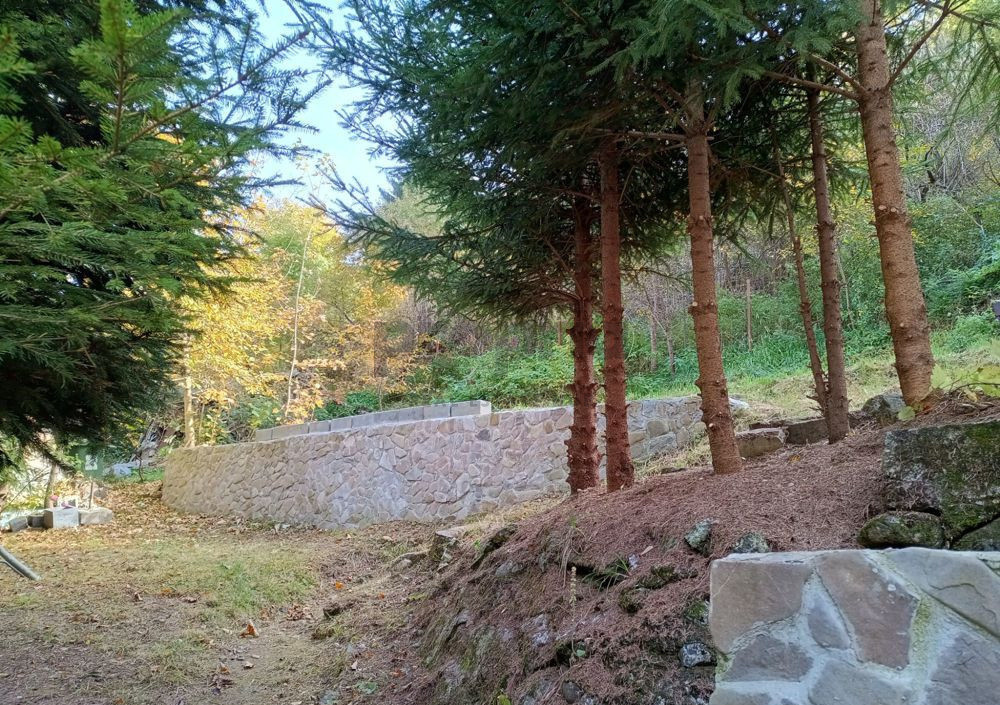 Casa de inchiriat Schei, curte 400 mp