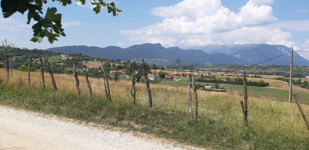 Teren intravilan – Bran, sat Sohodol, 2920 mp