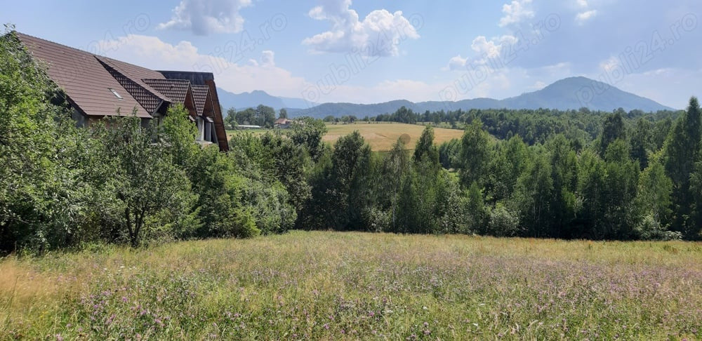Teren intravilan – Bran, sat Sohodol, 2920 mp