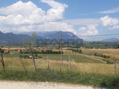 Teren intravilan – Bran, sat Sohodol, 2920 mp