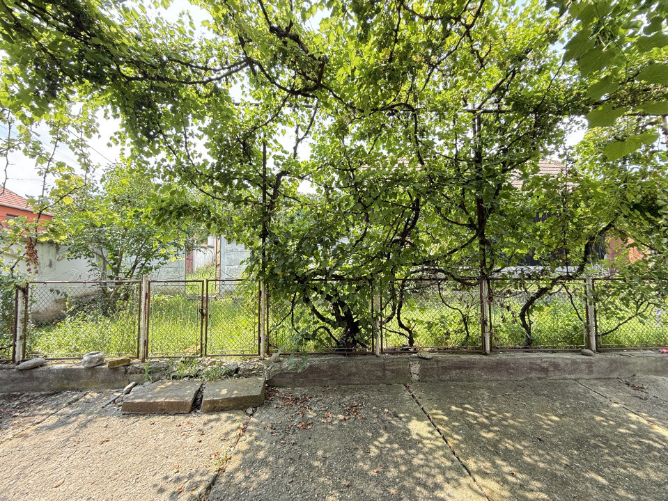 CASĂ LA ȚARĂ - 1149 MP TEREN | LA 8 KM DE VISCRI 