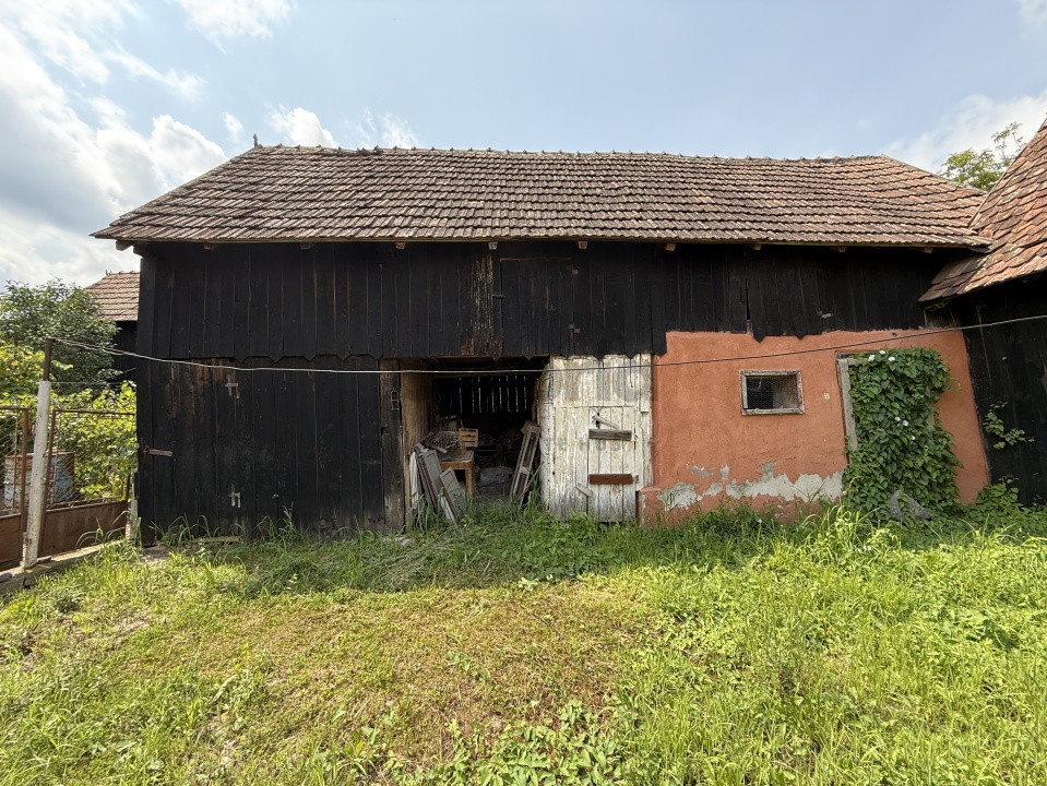 CASĂ LA ȚARĂ - 1149 MP TEREN | LA 8 KM DE VISCRI 